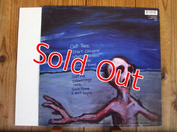画像2: Dinosaur Jr / Where You Been (2)