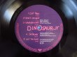 画像3: Dinosaur Jr / Where You Been (3)