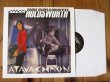 画像13: ６タイトルは初アナログ化！ 12枚組アナログBOX！■Allan Holdsworth / The Allan Holdsworth Solo Album Collection (13)