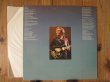 画像2: Al Di Meola / Land Of The Midnight Sun (2)