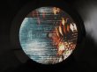 画像3: Fennesz / Mahler Remix (3)