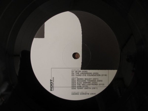 画像4: Thurston Moore / Root (5LP BOX Limited Edition) (4)