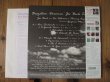 画像2: Joe Beck Trio / Brazilian Dreamin' (2)