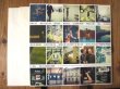 画像5: Al Di Meola / All Your Life - A Tribute To The Beatles (5)