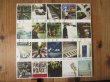 画像1: Al Di Meola / All Your Life - A Tribute To The Beatles (1)