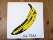 画像1: The Velvet Underground & Nico / The Velvet Underground & Nico (1)