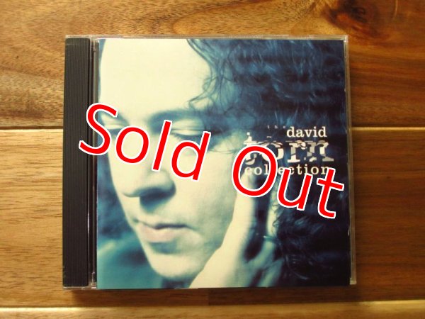 画像1: David Torn / The David Torn Collection (1)