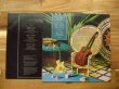 画像2: Al Di Meola / Casino (2)