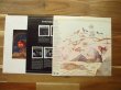 画像2: John McLaughlin / Shakti With John McLaughlin - Natural Elements (2)