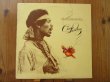 画像1: Jimi Hendrix / Crash Landing (1)