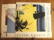 画像2: カシオペア = Casiopea /  Halle  (2)