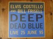 画像1: Elvis Costello / Deep Dead Blue (1)