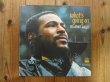 画像1: Marvin Gaye / What's Going On  (1)