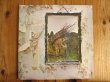 画像1: Led Zeppelin / IV (1)