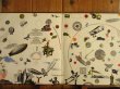 画像2: Led Zeppelin / Led Zeppelin III (2)
