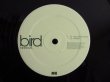 画像5: ★Bird / Mindtravel (5)