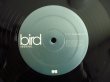 画像4: ★Bird / Mindtravel (4)
