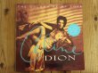 画像1: Celine Dion / The Colour Of My Love (1)