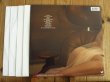画像3: Kendra Morris / Mockingbird (3)