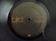 画像3: ★Bird / Mindtravel (3)