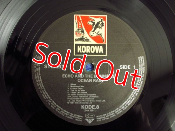 画像3: Echo & The Bunnymen / Ocean Rain (3)