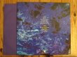 画像2: Echo & The Bunnymen / Ocean Rain (2)