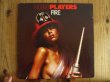画像1: Ohio Players / Fire (1)