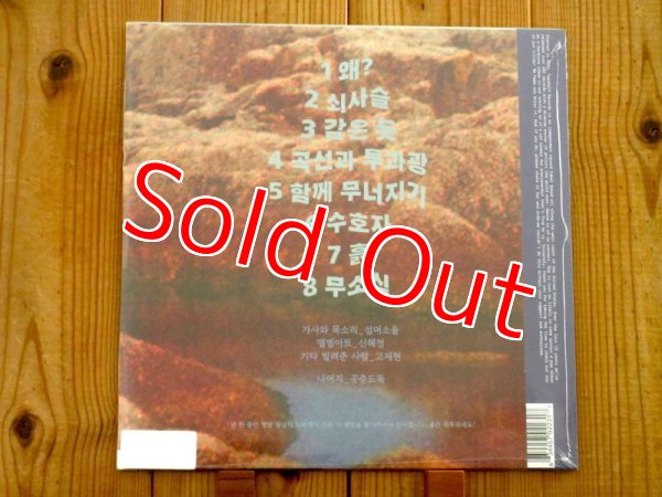 画像2: 世界規模で新規リスナーが増え続けている韓国の宅録SSWの2ndアルバムのアナログ盤！■空中泥棒 (A.k.a.公衆道徳) / Crumbling (2)