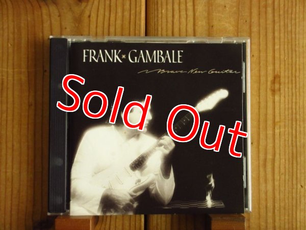 画像1: Frank Gambale / Brave New Guitar (1)