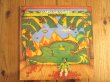 画像1: Caetano Veloso / Estrangeiro (1)