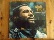 画像1: Marvin Gaye / What's Going On  (1)