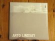 画像2: アートリンゼイのソロ・アルバム2017年作品がアナログ盤で入荷！■Arto Lindsay / Cuidado Madame (2)