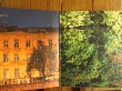 画像2: Fennesz / Venice (2)