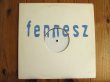 画像1: Fennesz / Live In Japan (1)