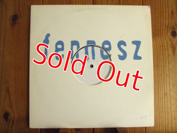 画像1: Fennesz / Live In Japan (1)