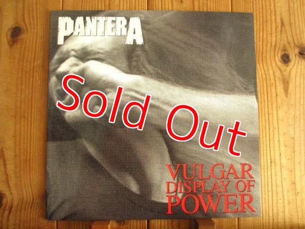 画像1: Pantera / Vulgar Display Of Power (1)
