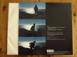 画像2: Char & 佐藤竹善 / Change The World (2)