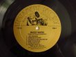 画像3: Muddy Waters / Down On Stovall's Plantation (3)