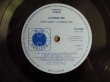 画像3: Peter Green / Peter Green's Fleetwood Mac (3)