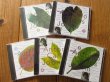 画像1: これぞ一生もの！数あるジョビンの作品集の中でも最もおすすめのシリーズ！■V.A. / Songbook Antonio Carlos Jobim Vol.1-5（５枚セット） (1)