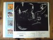 画像2: Chet Atkins / Picks The Best (2)