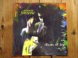 画像1: Antonio Forcione / Tears Of Joy (1)