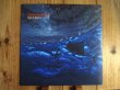 画像1: Tedeschi Trucks Band / High & Mighty (1)