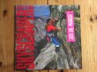 画像1: David Lee Roth / Skyscraper (1)
