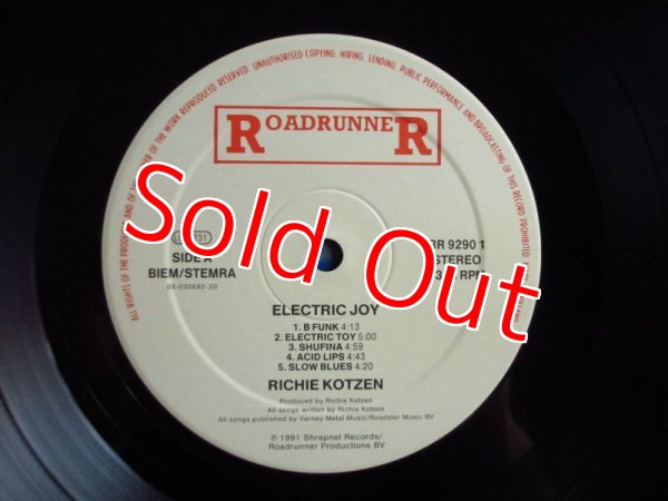 画像3: Richie Kotzen / Electric Joy (3)