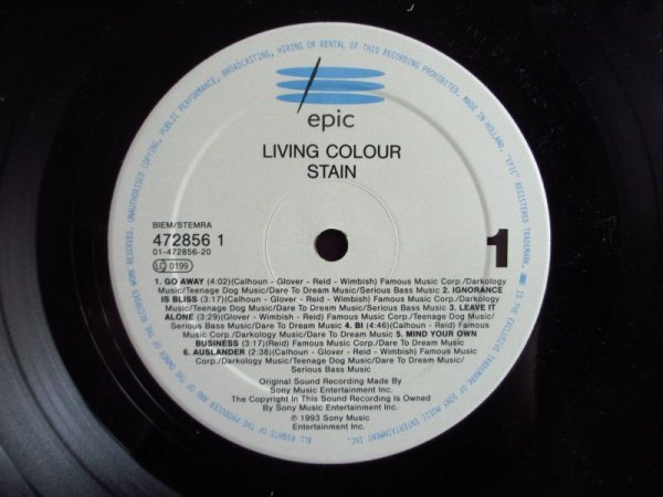画像3: Living Colour / Stain (3)