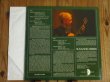 画像2: Susanne Mebes / Guitar (2)