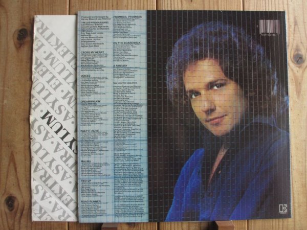 画像2: Lee Ritenour / Rit 2 (2)