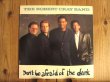 画像1: The Robert Cray Band / Don't Be Afraid Of The Dark (1)