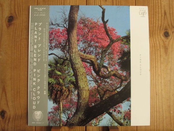 画像1: Pink Cloud / Plant Blend (1)